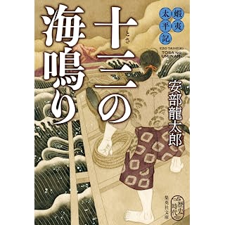 『蝦夷太平記 十三の海鳴り』