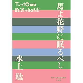 『馬よ花野に眠るべし』