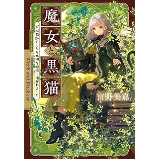 『魔女と黒猫 家庭教師をしたら高慢な姫様に懐かれました』