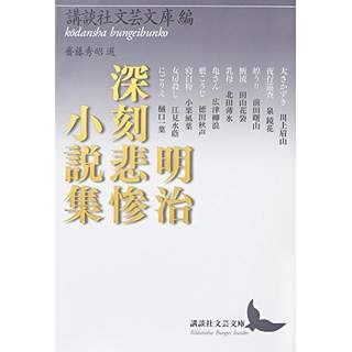 『明治深刻悲惨小説集』