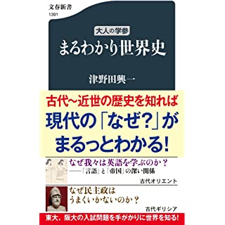 『大人の学参 まるわかり世界史』