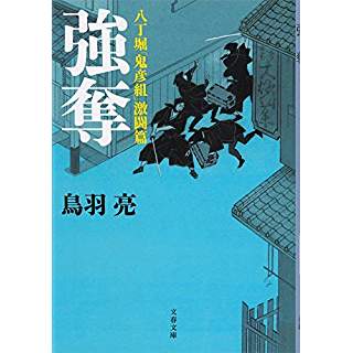 『強奪―八丁堀「鬼彦組」激闘篇』