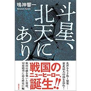 戦国のニューヒーロー 秋田の智将 安東愛季を描いた長編小説 時代小説show