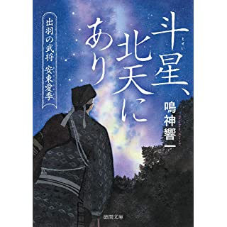 『斗星、北天にあり 出羽の武将 安東愛季』