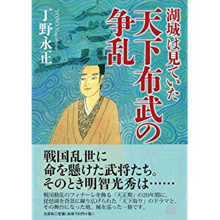 『湖城は見ていた 天下布武の争乱』