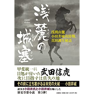 『浅麓の城塞　浅間山麓　小田井城攻防戦、真田誕生秘話』