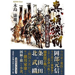 『真、桶狭間　猛将岡部元信と徳川家康』