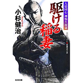 『駆ける稲妻: 人情同心 神鳴り源蔵』