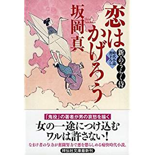 『恋はかげろう 新・のうらく侍2』