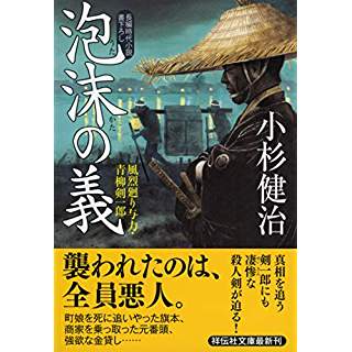 『泡沫の義　風烈廻り与力・青柳剣一郎』