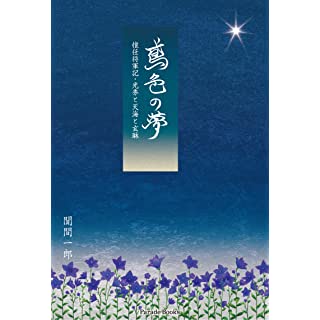 『鳶色の夢　惟任将軍記・光秀と天海と玄琳』