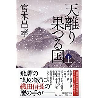 『天離り果つる国（上）』