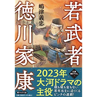 『若武者 徳川家康』