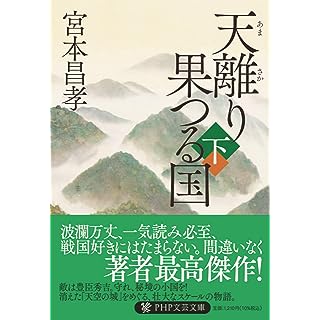 『天離り果つる国（下）』