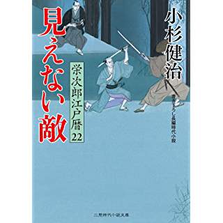 『見えない敵 栄次郎江戸暦22』