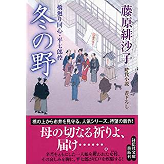 『冬の野　橋廻り同心・平七郎控12』