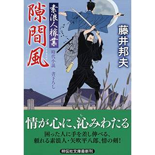 『隙間風　素浪人稼業13』