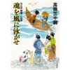 『大江戸剣聖　一心斎3　魂を風に泳がせ』