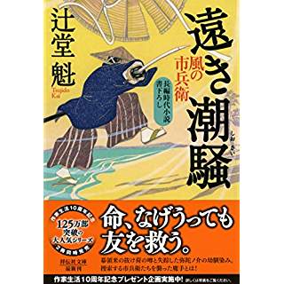 『遠き潮騒 風の市兵衛19』