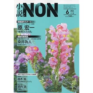 『小説NON 2024年 06 月号』