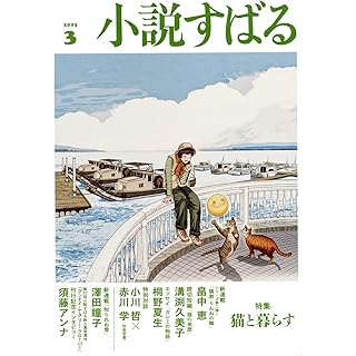 『小説すばる 2025年3月号』