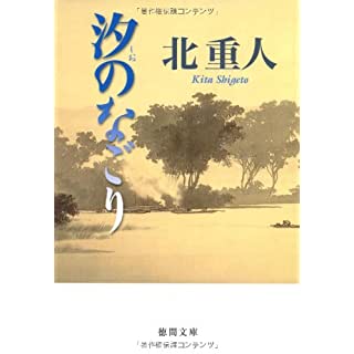 汐のなごり (徳間文庫)