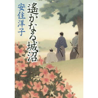 遙かなる城沼 (小学館文庫)