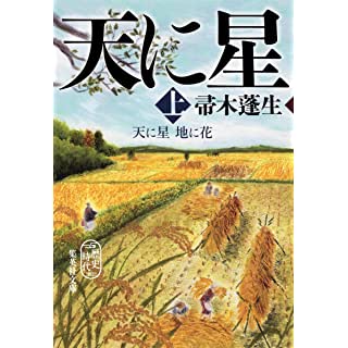 天に星 地に花 上 (集英社文庫)