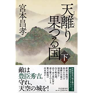 天離(あまさか)り果つる国(下) (単行本)