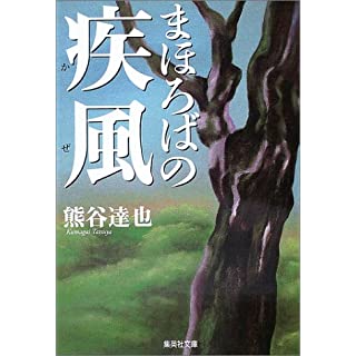 まほろばの疾風 (集英社文庫)